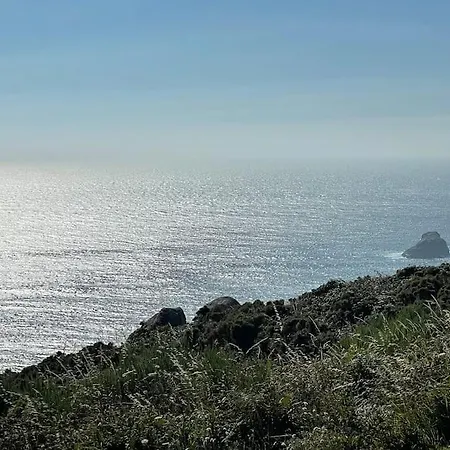 Specious Near The Sea