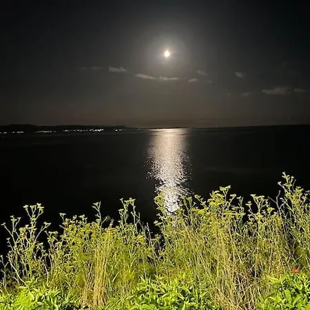 Specious Near The Sea