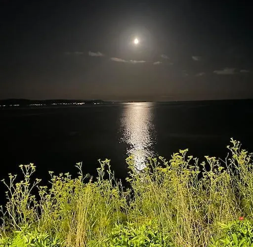 Specious Near The Sea